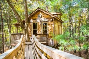 The Mohicans Treehouse Resort and Wedding Venue - Treehouses in Treehouse Hotels in the USA