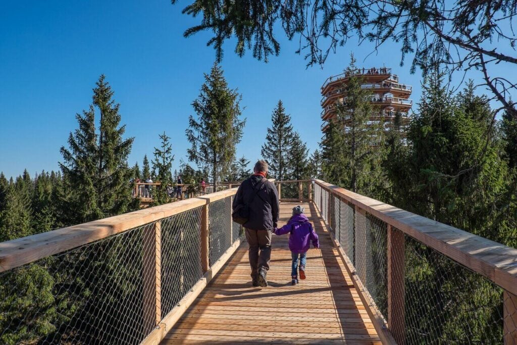 Treetop Walk Bachledka - Treehouses in Slovakia