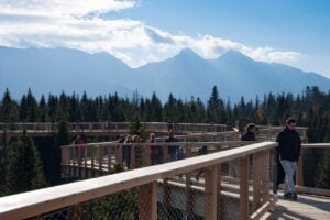 Treetop Walk Bachledka - Treehouses in Slovakia