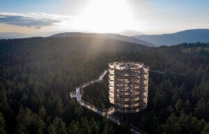 Treetop Walk Pohorje - Treehouses in Slovenia