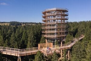 Treetop Walk Pohorje - Treehouses in Slovenia