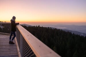 Treetop Walk Pohorje - Treehouses in Slovenia