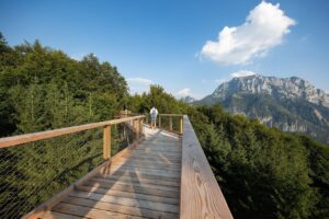 Treetop Walk Salzkammergut - Treehouses in Austria