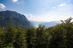 Treetop Walk Salzkammergut - Treehouses in Austria