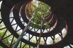 Skovtårnet: Denmark’s Sky-High Forest Escape - Treehouses in Denmark
