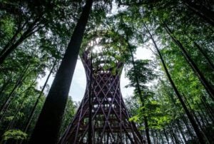 Skovtårnet: The Forest Tower - Treehouses in Denmark