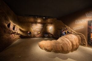 Baumkronenpfad in Nationalparks Hainich - Treehouses in