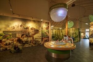 Baumkronenpfad in Nationalparks Hainich - Treehouses in