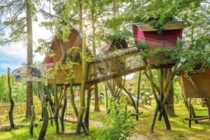 Baumkronenpfad in Nationalparks Hainich - Treehouses in