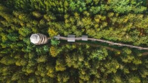 Baumkronenweg Kopfing - Treehouses in Austria