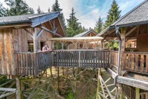 Baumkronenweg Kopfing - Treehouses in Austria