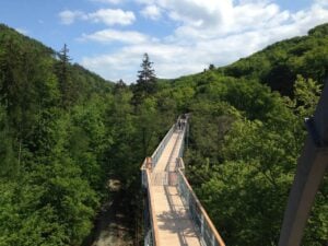 Baumwipfelpfad Harz - Treehouses in