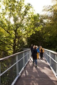 Baumwipfelpfad Harz - Treehouses in