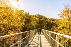 Baumwipfelpfad Harz - Treehouses in