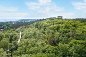 Baumwipfelpfad Usedom - Treehouses in Germany