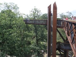 Kew Gardens Treetop Walkway - Treehouses in United Kingdom