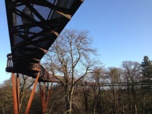 Kew Gardens Treetop Walkway - Treehouses in United Kingdom