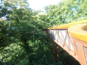 Kew Gardens Treetop Walkway - Treehouses in United Kingdom