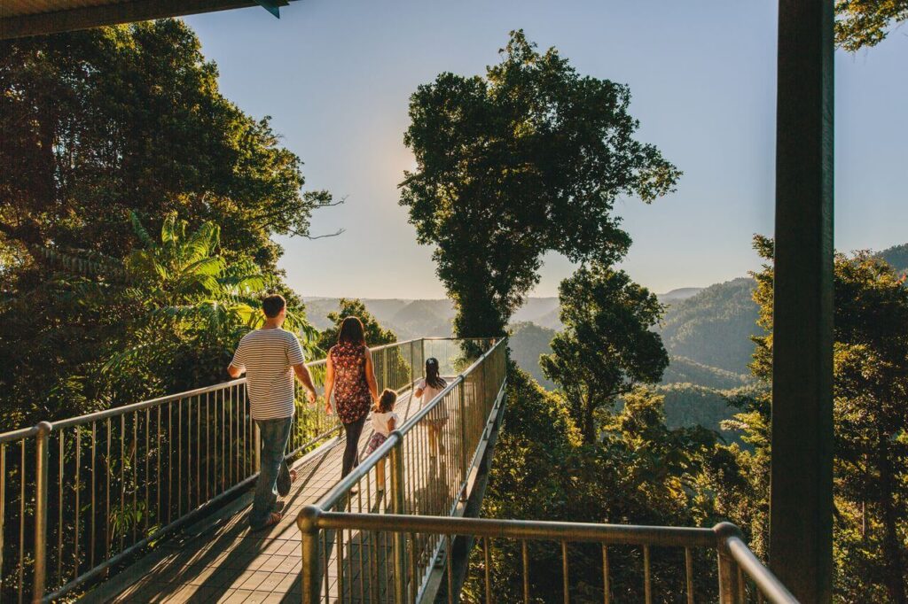 Mamu Tropical Skywalk - Treehouses in Australia