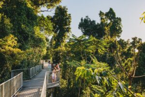 Mamu Tropical Skywalk - Treehouses in Australia
