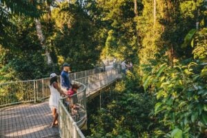 Mamu Tropical Skywalk - Treehouses in Australia