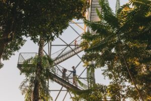 Mamu Tropical Skywalk - Treehouses in Australia