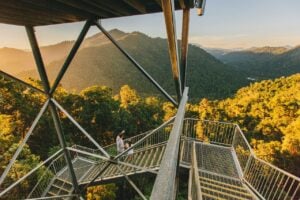 Mamu Tropical Skywalk - Treehouses in Australia