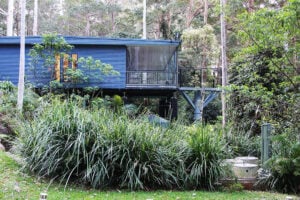Tamborine Rainforest Skywalk - Treehouses in Australia
