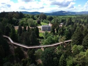 Beyond the Trees Avondale - Treehouses in
