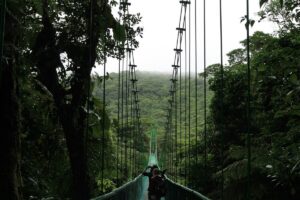 Sky Walk Monteverde - Treehouses in