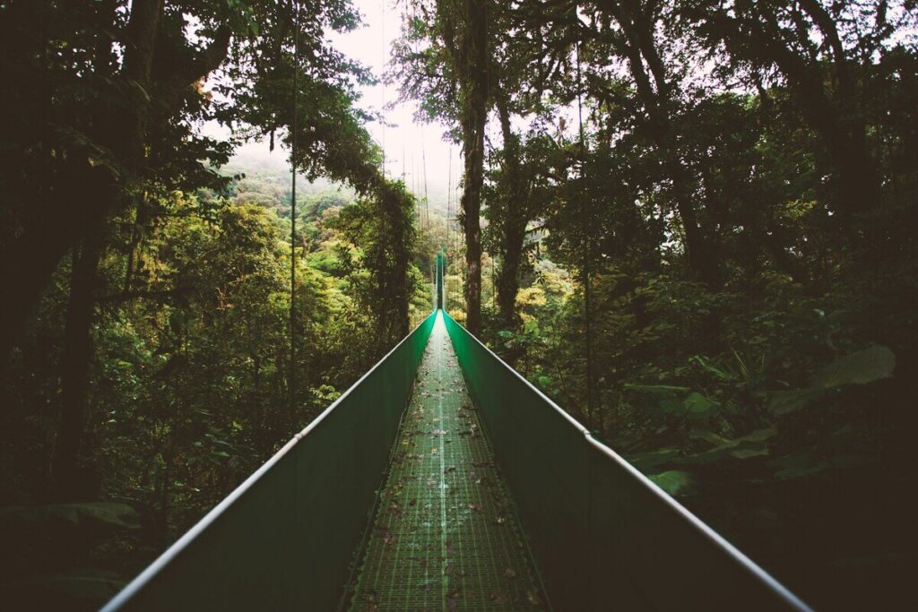 Sky Walk Monteverde - Treehouses in Costa Rica