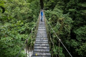 Sky Walk Monteverde - Treehouses in