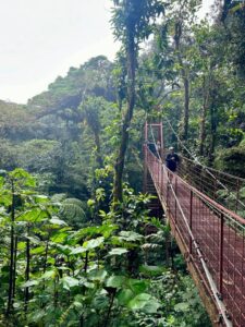 Sky Walk Monteverde - Treehouses in