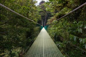 Sky Walk Monteverde - Treehouses in