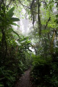 Sky Walk Monteverde - Treehouses in