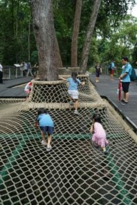 SPH Walk of Giants - Treehouses in Singapore