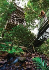 Daintree Discovery Centre Aerial Walkway - Treehouses in Australia