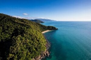 Daintree Discovery Centre Aerial Walkway - Treehouses in Australia