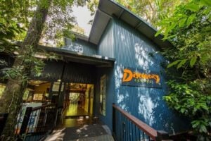 Daintree Discovery Centre Aerial Walkway - Treehouses in Australia