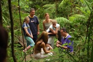 Daintree Discovery Centre Aerial Walkway - Treehouses in Australia