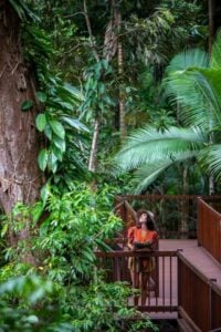 Daintree Discovery Centre Aerial Walkway - Treehouses in Australia