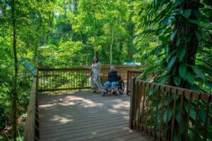 Daintree Discovery Centre Aerial Walkway - Treehouses in Australia