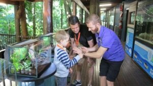 Daintree Discovery Centre Aerial Walkway - Treehouses in Australia