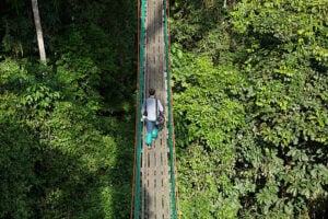 Danum Valley Canopy Walkway - Treehouses in Malaysia