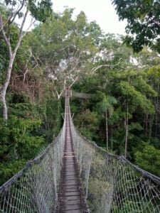 Inkaterra Canopy Walkway - Treehouses in Peru