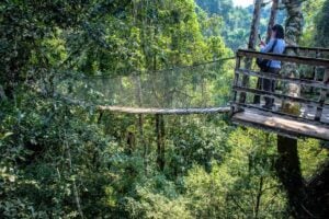 Inkaterra Canopy Walkway - Treehouses in Peru