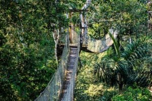Inkaterra Canopy Walkway - Treehouses in Peru