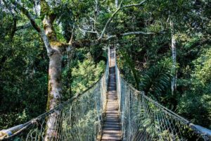 Inkaterra Canopy Walkway - Treehouses in Peru