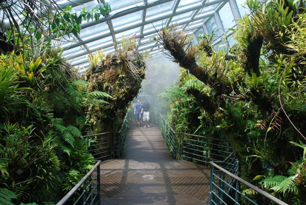 SPH Walk of Giants - Treehouses in Singapore