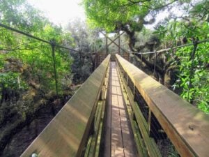 Myakka Canopy Walkway - Treehouses in United States